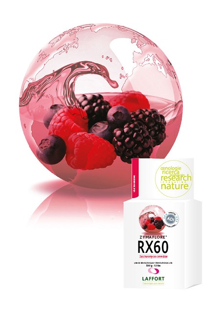 Laffort Zymaflore RX60 500g Hefe