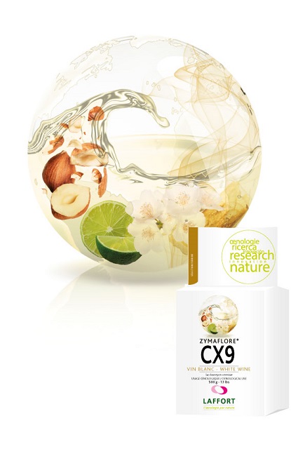 Laffort Zymaflore CX9 500g Hefe