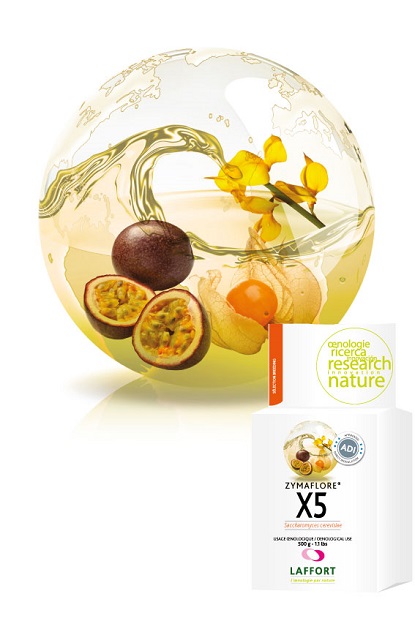 Laffort Zymaflore X5 500g Hefe