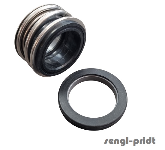 Gleitringdichtung DM 38 IP20+IP30 SP5 MG1